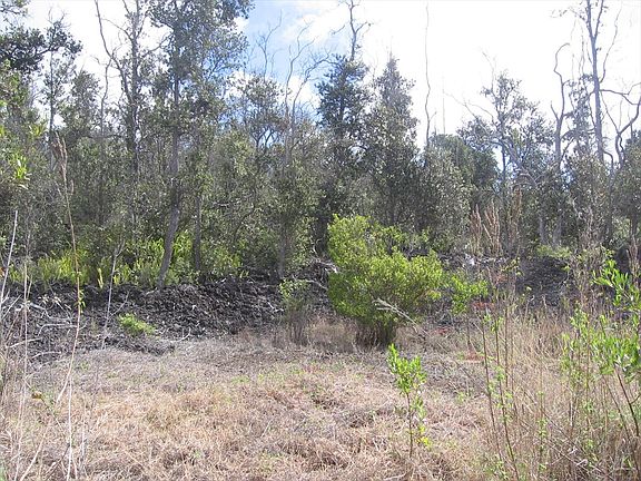 4th image of Lehua Ln Lot 5