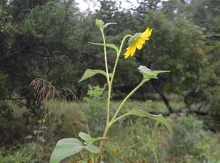 Friendship Rd, Weatherford, TX 76085