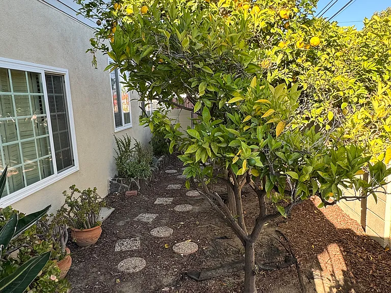 Interior garden area.
