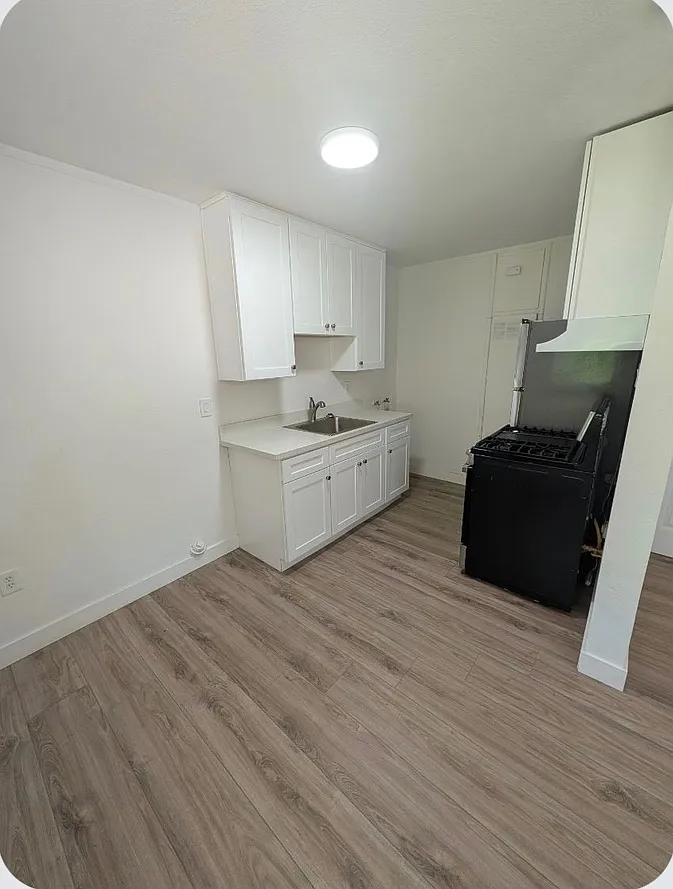 1 bed, 550 sqft, $1,600 — Photo 4