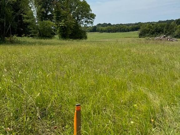 2nd image of 0 Highway 39 Tract #1