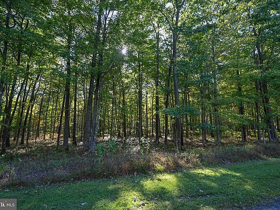 5th image of 47 Fern Loop Dr
