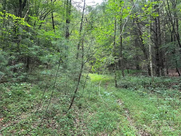 0 Benny Parsons Rd, Millers Creek, NC 28651