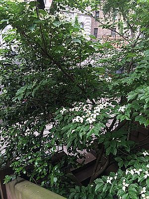 2nd image of 308 W 98th St #1B