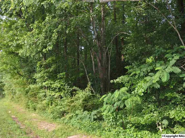 507 12th St NW, Arab, AL 35016