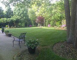 Perennial and Herb Garden
