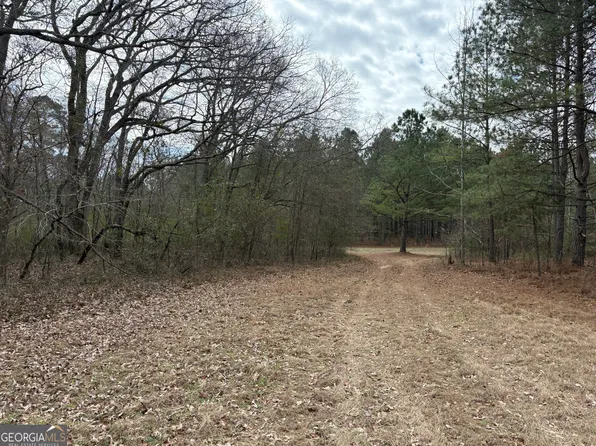 L8 W Quaker Rd, Keysville, GA 30816