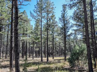 003K Birdsong Way, Lakeside, AZ 85929