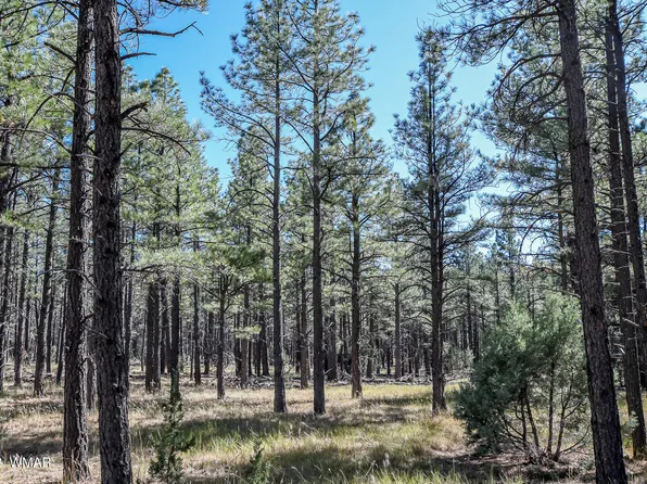 003K Birdsong Way, Lakeside, AZ 85929