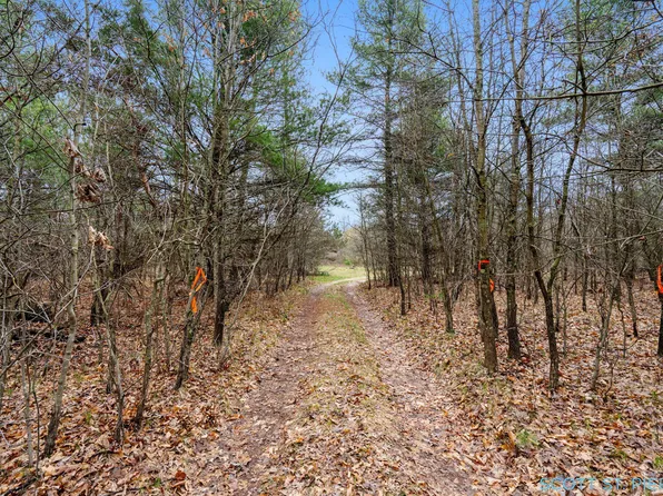 Vl Whitehall Rd, Whitehall, MI 49461