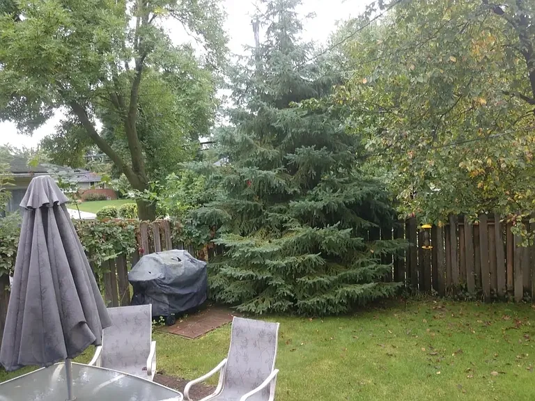 6709 Markwood Dr N — Photo 35