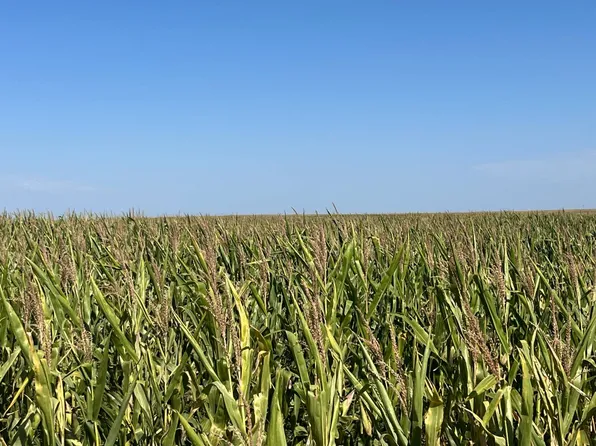 East 1/2 #18-11-39, Grant, NE 69140