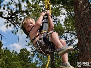 747 Coyote Hill Rd, Allenspark, CO 80510