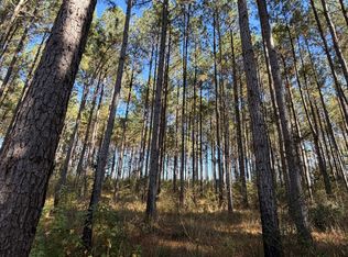 0 County Road 372, Elba, AL 36323