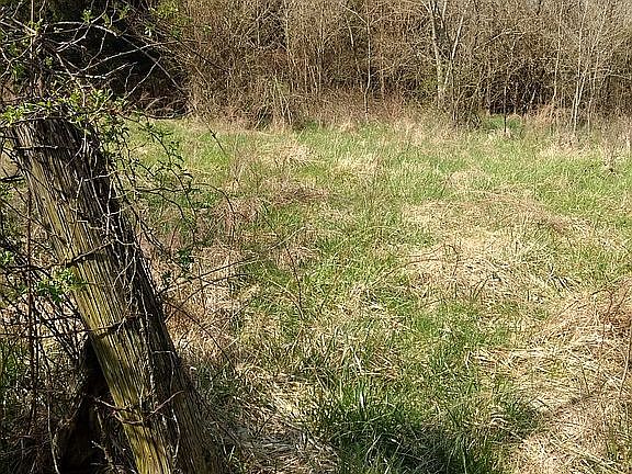 3rd image of 1537 E Us Highway 160