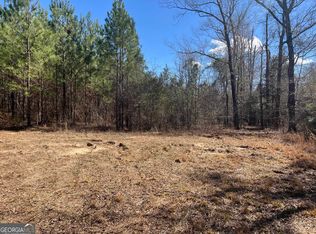 0 Rock Springs Rd, Glenwood, GA 30428