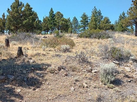 4th image of 4/520 Indian Hill Dr