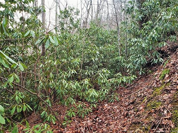 4th image of Tbd Nc 9 Hwy