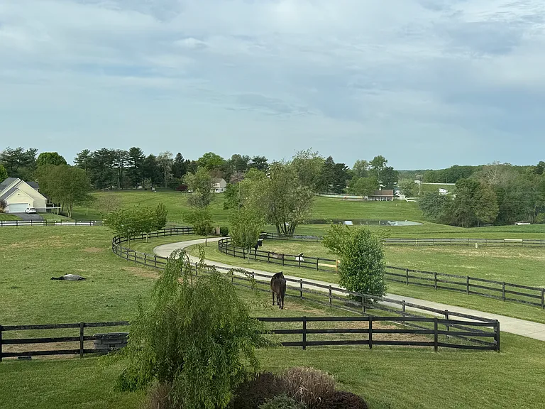 4299 Hawthorne Farms Rd — Photo 15