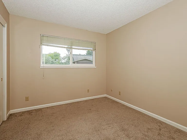 517 Debbie Dr — Photo 13