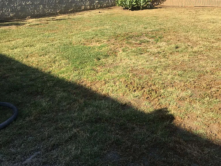 Spacious backyard