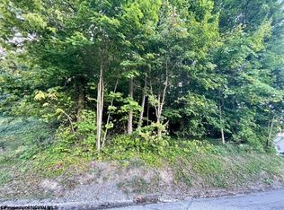 312 Lorentz St, Morgantown, WV 26505