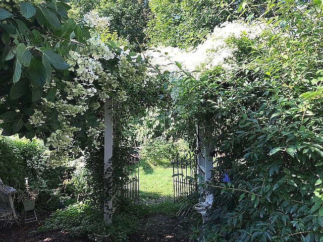 garden