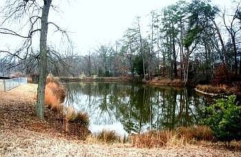 5th image of 106 Thornberry Ct