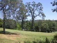 1st image of 13291 Torrey Pines Dr