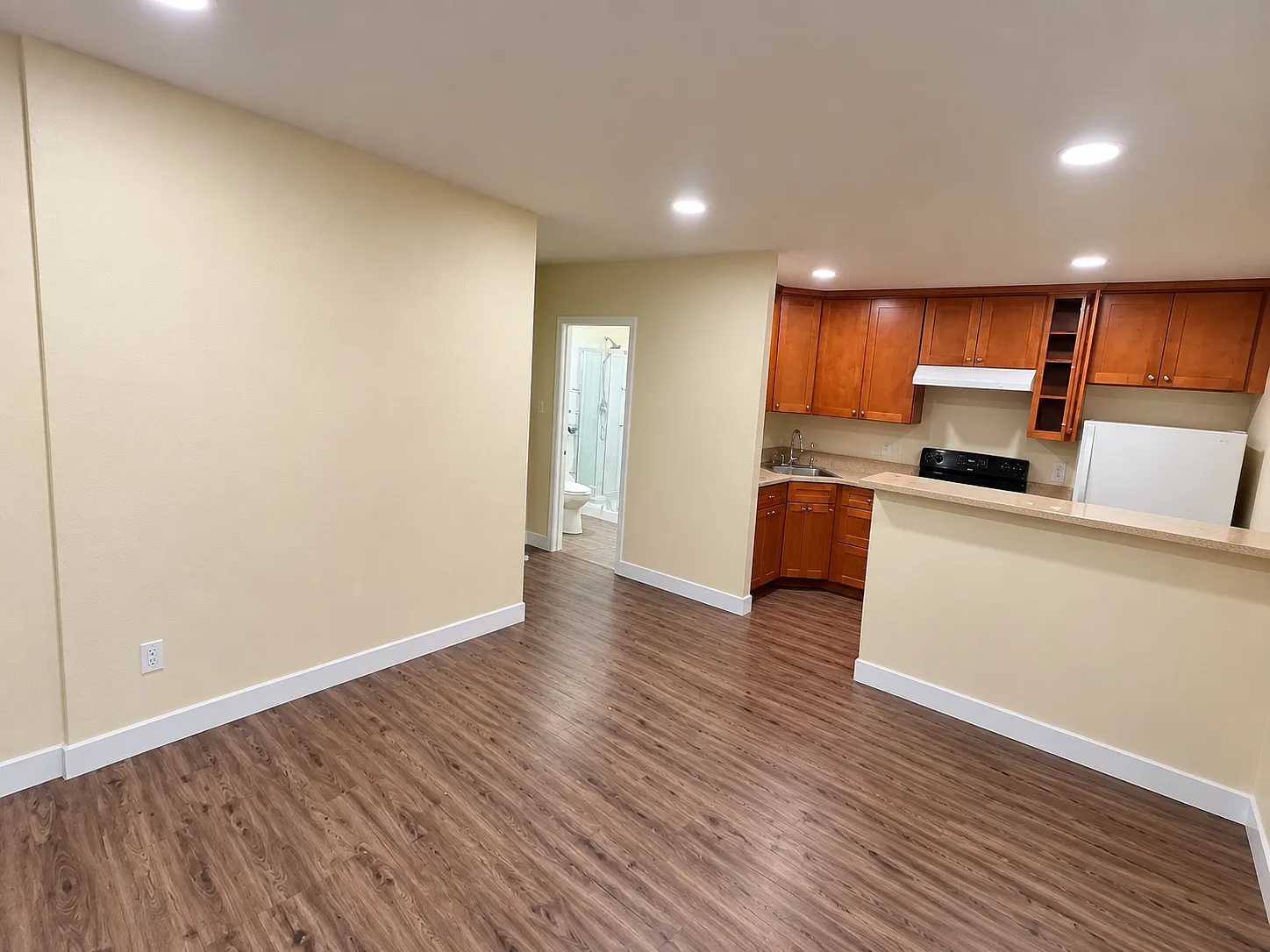 1 bed, 500 sqft, $1,900 — Photo 1