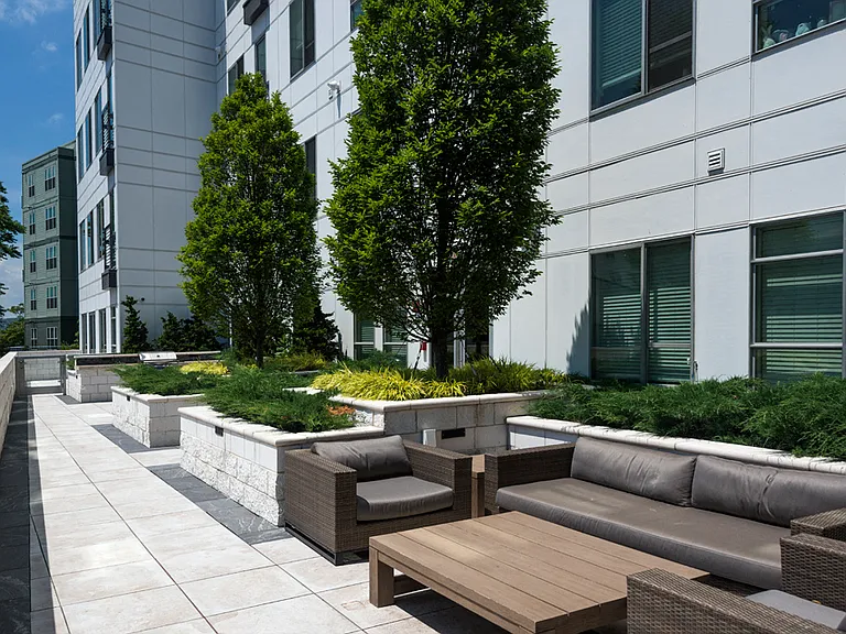 Luxe at Alewife — Photo 7