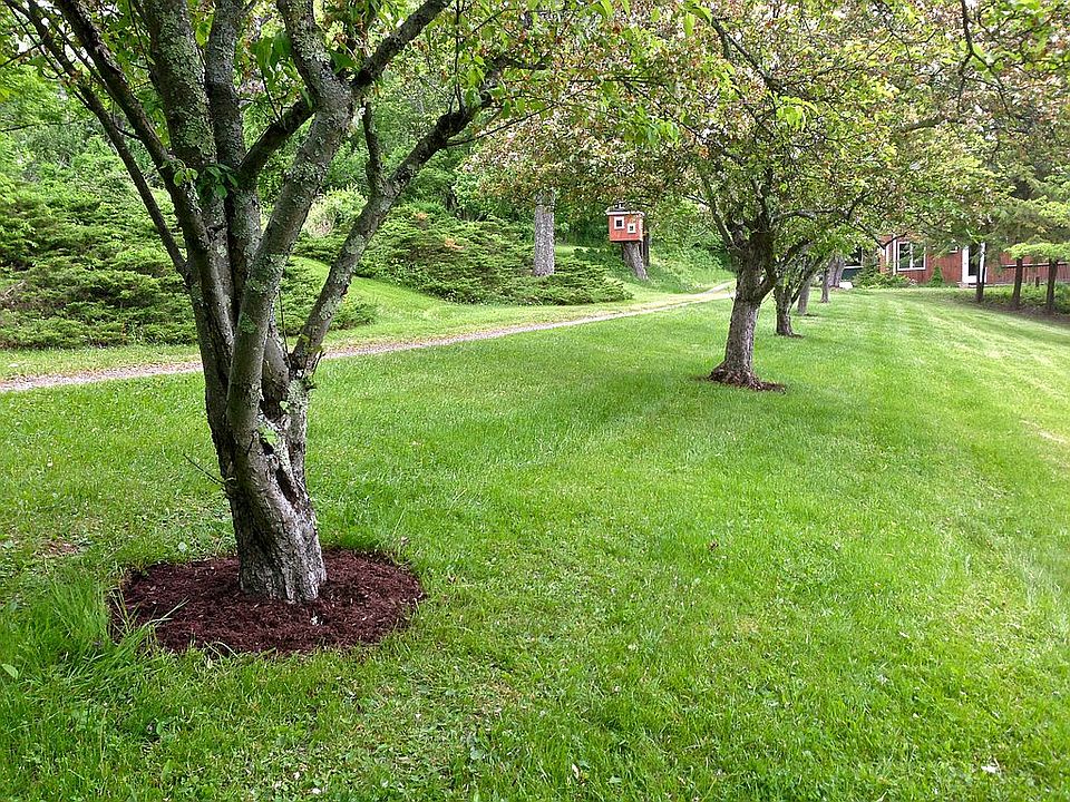tree-lined driveway