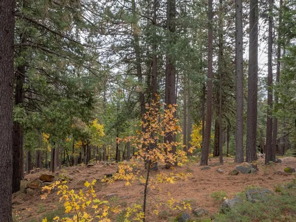 3339 Apache Rd, Arnold, CA 95223