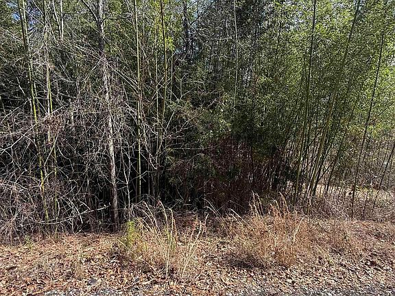 2nd image of 0 County Road 264 #12