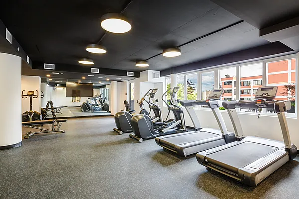 Rented by MNS | media 21