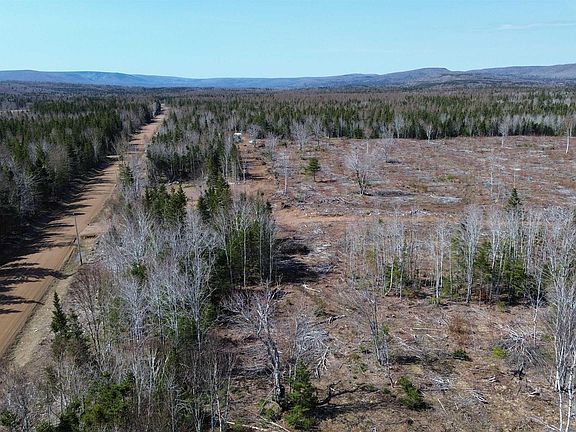 2nd image of 2025 E Big Intervale Rd #2