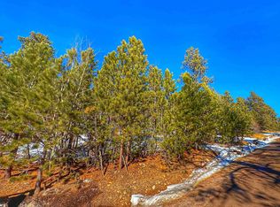 Tbd Last Chance Trl, Lead, SD 57754