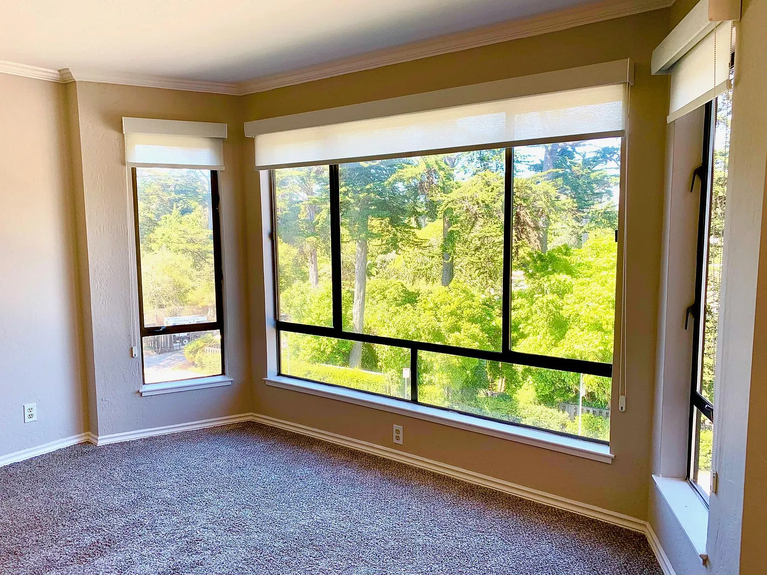 1 bed, $4,995 — Photo 3