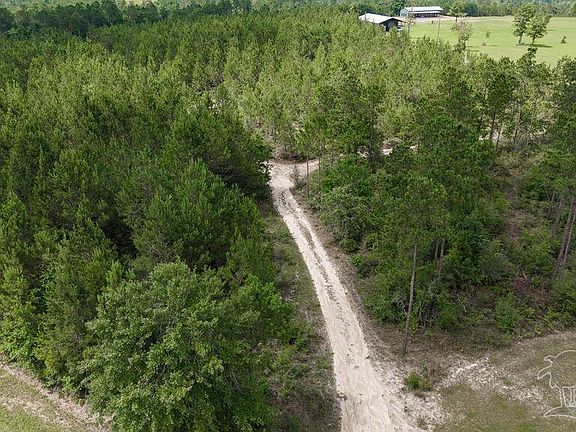 4th image of Treetop Ridge Dr