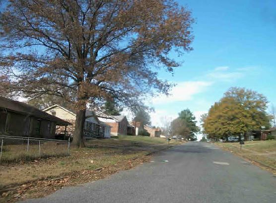 5th image of 5204 Bitter Creek Dr