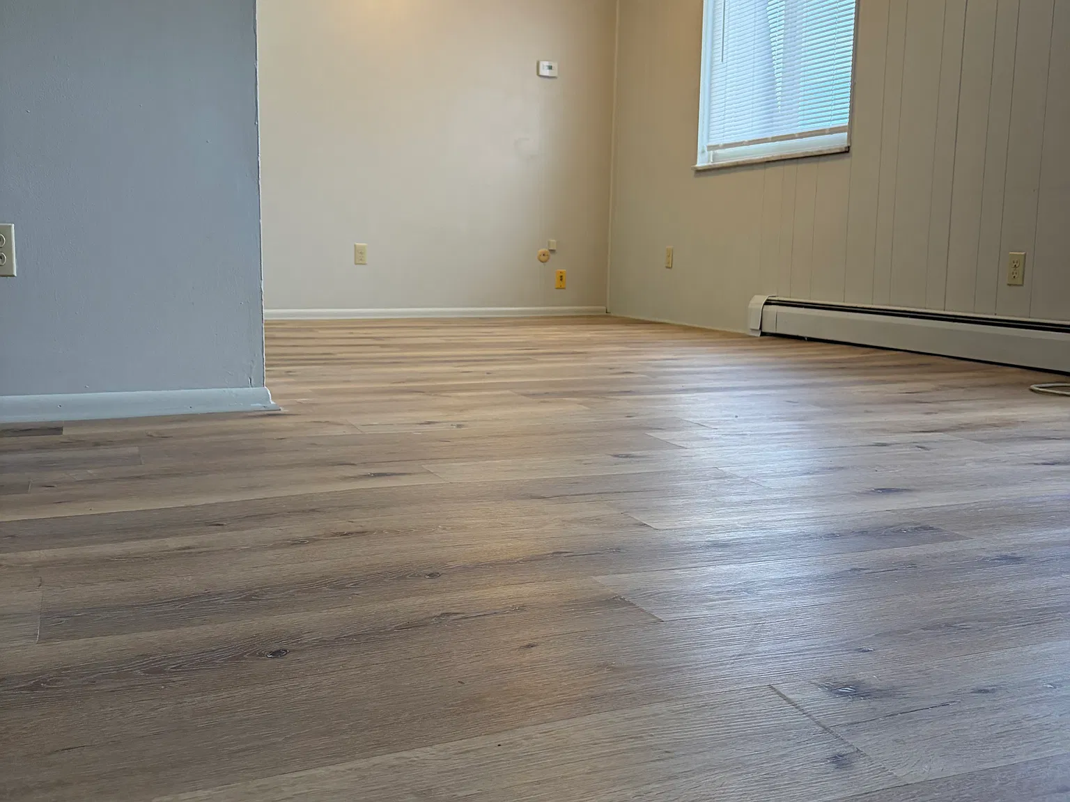1 bed, $920 — Photo 1