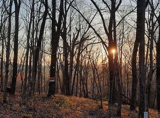 0 Long Mountain Trl #28, Cleveland, GA 30528