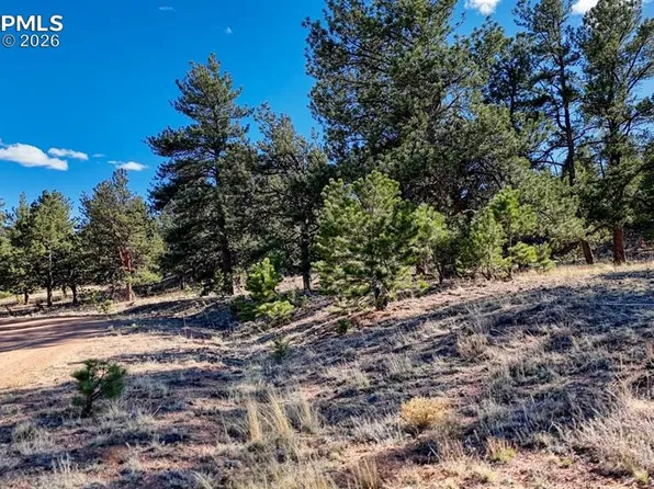 LOT 5124 Arikara Trl, Hartsel, CO 80449