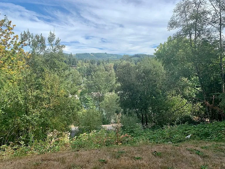 114 Beacon Hill Dr — Photo 12