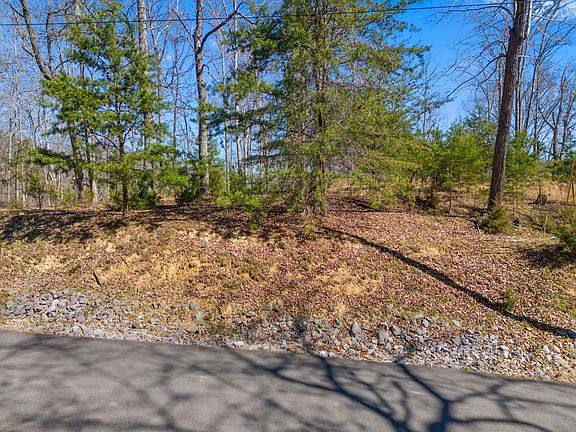 3rd image of 337 Chelaque Way