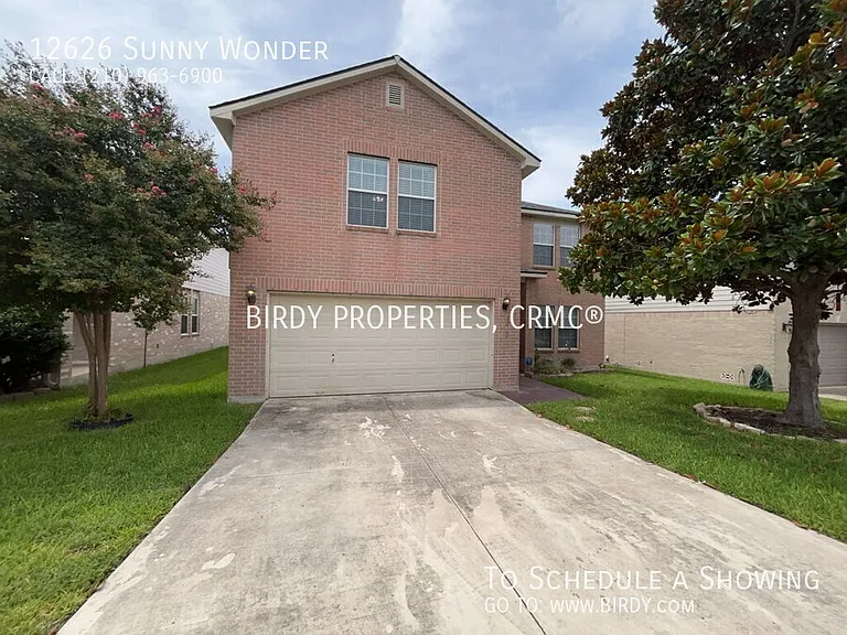 12626 Sunny Wonder — Photo 42