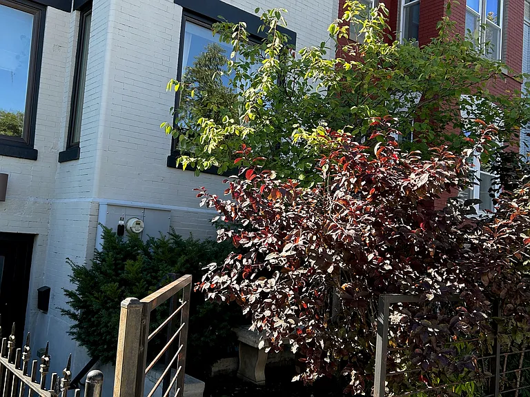 18 Q St NW #2 — Photo 24