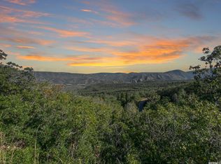 111 E Upper Whittemore Dr, Springville, UT 84663