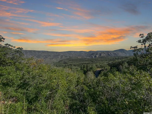 111 E Upper Whittemore Dr, Springville, UT 84663