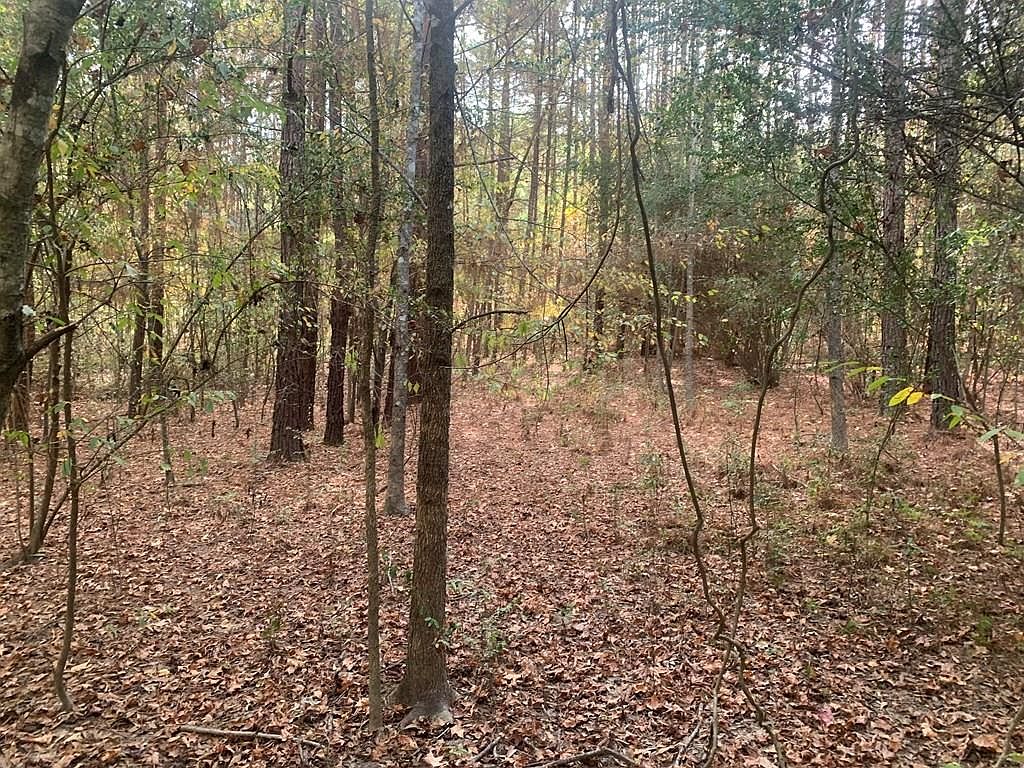 0 SW Dalton Ln, Smithdale, MS 39664 MLS 140339 Zillow